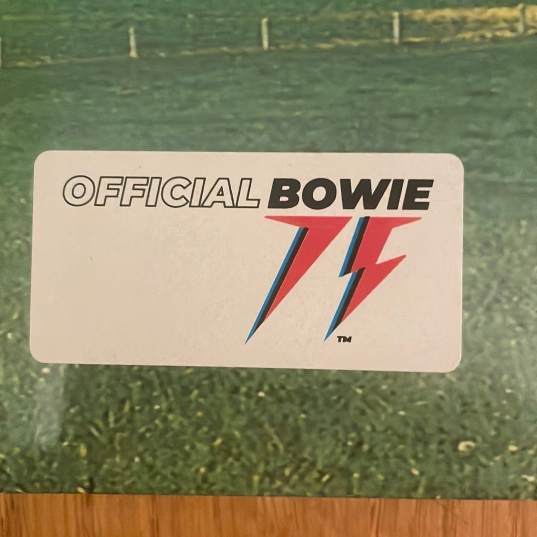 David Bowie – Earthling – 2xVinyl LP – Remastered – 2022 – NY - Bild 2